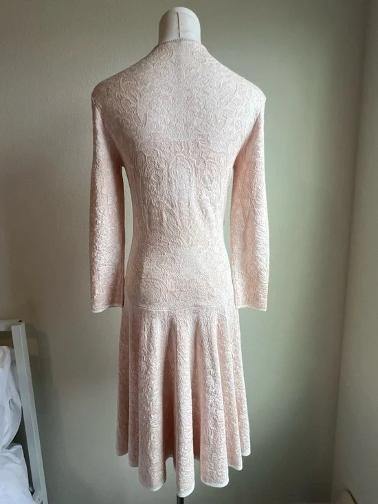 Alexander McQueen Pale Blush Lace Long-Sleeve Mini Dress - Picture 5 of 9